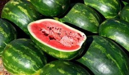 免费吃瓜视频网红网,揭秘网络红人幕后生活